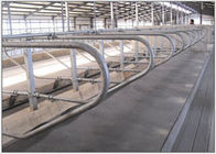 Ống mạ kẽm dày 3mm Free Stall dành cho trang trại bò sữa