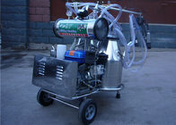 Máy vắt sữa động cơ diesel Động cơ diesel / Máy ép xung